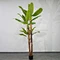 fake banana tree plant